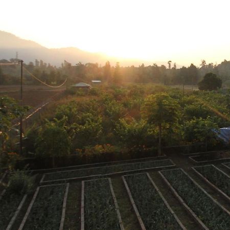 Forest Side Farm - Homestay At Kotabagh Near Nainital And Jim Corbett المظهر الخارجي الصورة