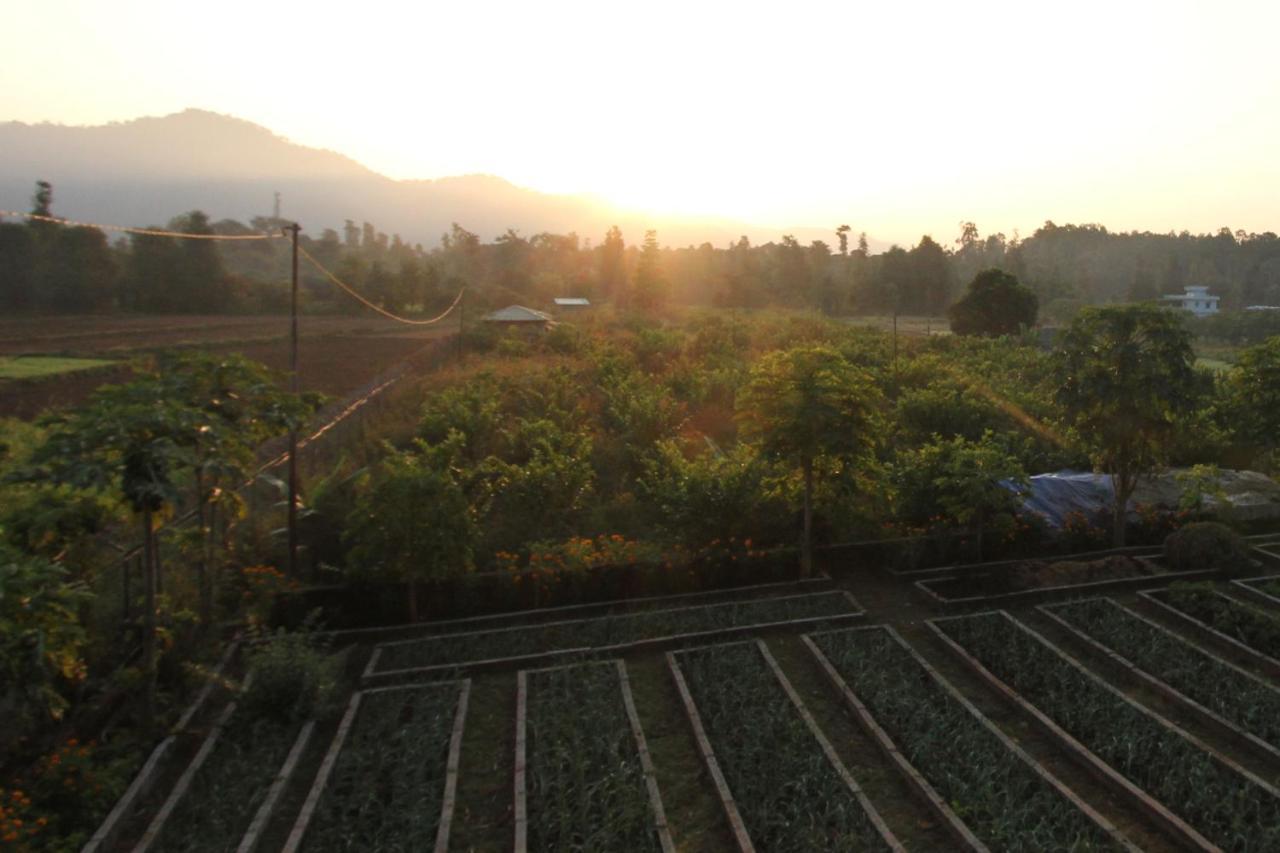 Forest Side Farm - Homestay At Kotabagh Near Nainital And Jim Corbett المظهر الخارجي الصورة