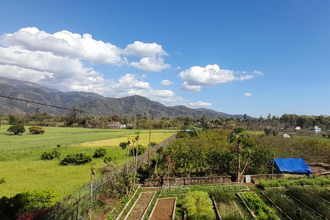 Forest Side Farm - Homestay At Kotabagh Near Nainital And Jim Corbett المظهر الخارجي الصورة